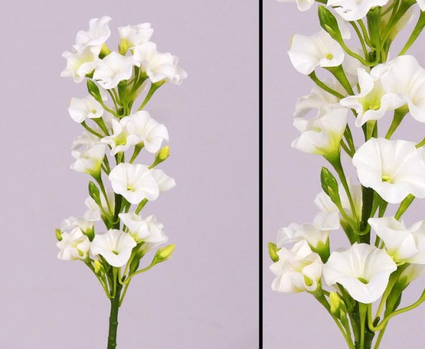 Phlox Flammenblume künstlich weiß, Höhe 35cm