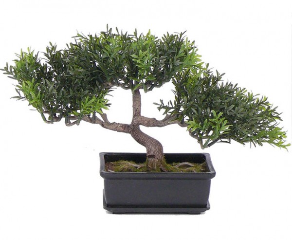 Teeblatt Bonsai Kunstpflanze in Schale mit 98 Blattzweigen Höhe 23cm