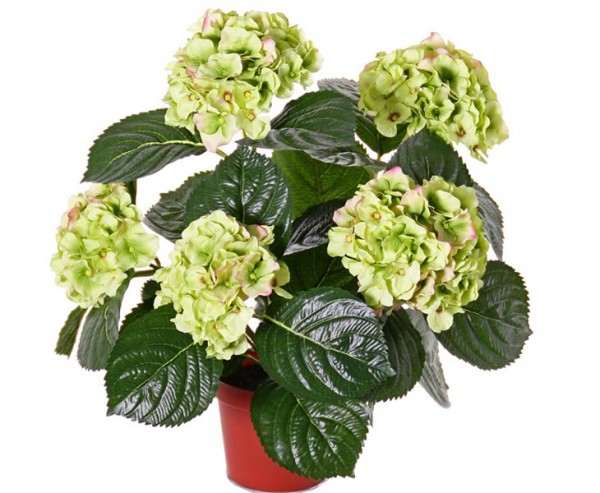 Hortensie Kunstpflanze mit 5 gelben Blüten im Topf Höhe 42cm