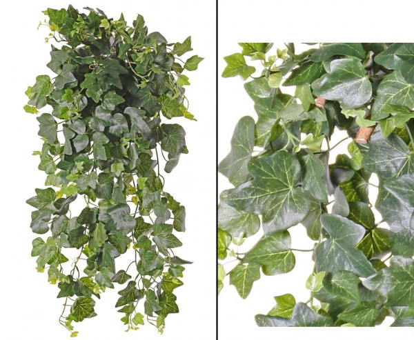Hedera Efeu Gala mit 331 Blätter ca. 75cm UV-sicher
