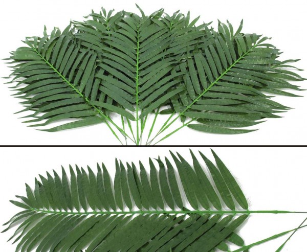 Cocos-Palmwedel kurz Textilpalmwedel 12 Stück Länge ca. 80cm