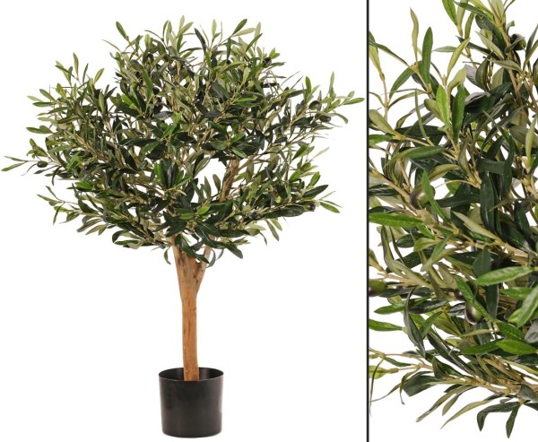 Olivenbäumchen 85cm mit 1248 Blätter und 30 Oliven