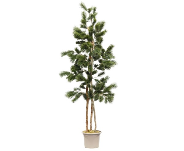 Kiefern Kunstbaum 210cm mit PE Zweigen und Echtholzstämmen im Topf