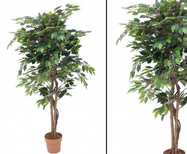 Künstlicher Ficus mit 1260 Blätter im Zementtopf Höhe 180cm