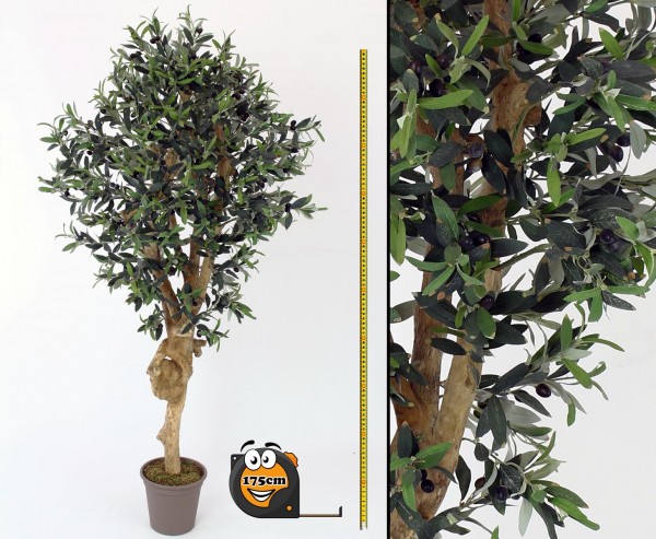 Oliven Kunstbaum 175cm mit dicken Naturstamm 2560 Blätter