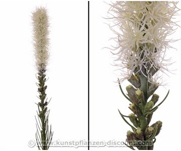 Kunstblume Prachtscharte liatris spicata creme farbig, 80cm