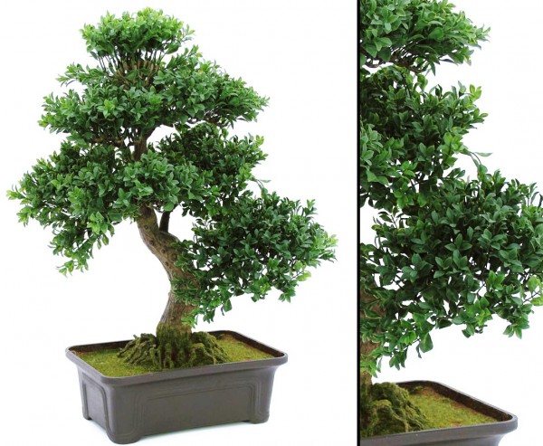 Bonsai Kunstpflanze mit Schale, 538 Blätter, 61cm hoch