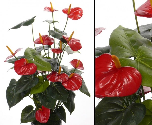 Flamingo Kunstblume mit 13 roten Blüten, 80cm