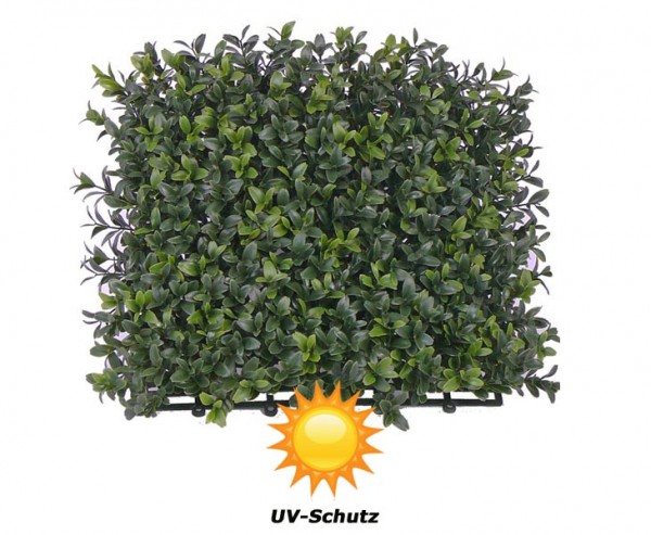 Kunstpflanzen Buchs Element 25x25cm mit UV Schutz