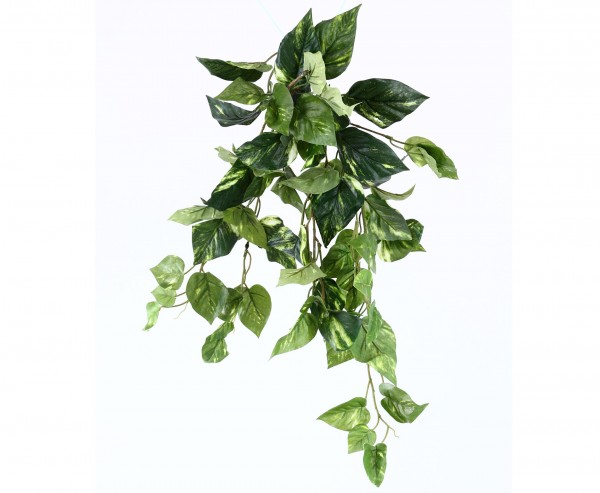 Künstliche Pflanze Pothos Busch 60cm mit 70 verschieden großen Blättern