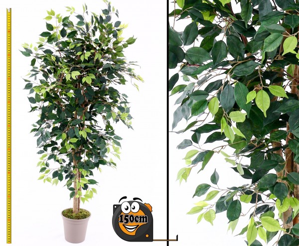 Künstlicher Ficus Elegance 150cm mit 1100 Blättern aus Textilfaser Naturstämmen