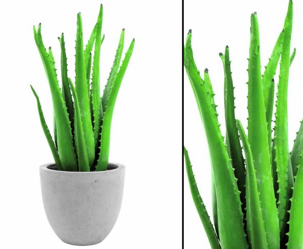 Aloeverapflanze künstlich mit 16 Blätter, 63cm hoch