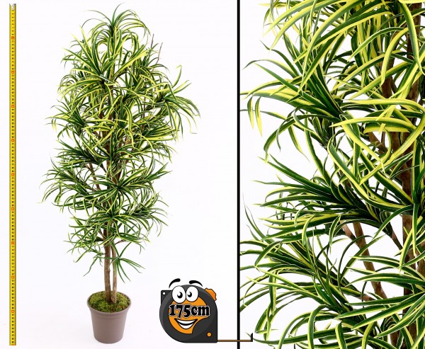 Yucca Kunstpalme Mini mit 672 Blätter grün gelb 175cm hoch mit Naturstämme