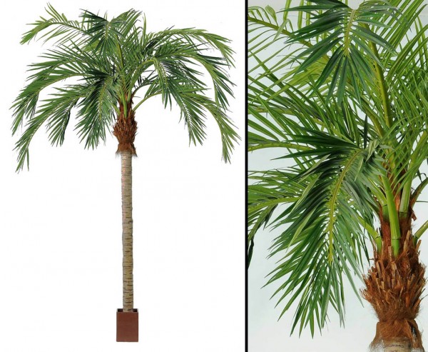 Kunstpalme Cocos 420cm mit langen Textilfaser Wedel mit Topf