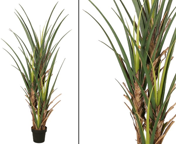Kunstpalme Dracenabusch Agave mit 4 Stämme im Topf 180cm