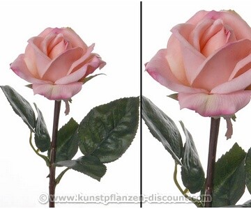 Rosen Kunstblume real touch, mit heller rosa farbiger Blüte, 35cm