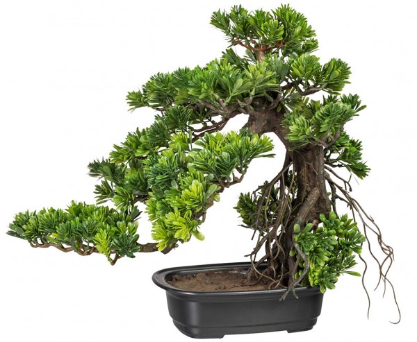 Kunstpflanze Bonsai Podocarpus im Kunststofftopf mit einer Höhe von 40cm