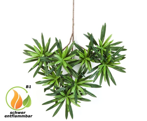 Podocarpus immergrüne Nadelpflanze als Zweig 35cm mit 240 Blätter in schwer entflammbar