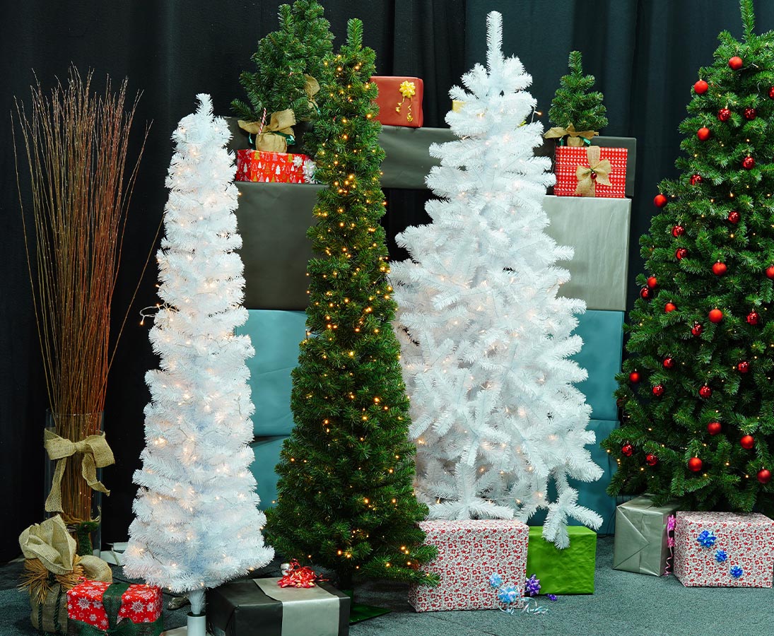 Kegelfoermige Weihnachtsbaeume im TV Studio