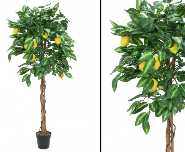 Zitronenbaum künstlich mit 1046 Blätter und 40 Früchte Höhe 180cm