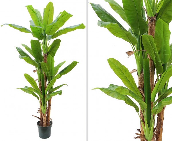 Bananen Kunstbaum mit 34 Blätter aus PEVA Höhe ca. 250cm, 4stämmig