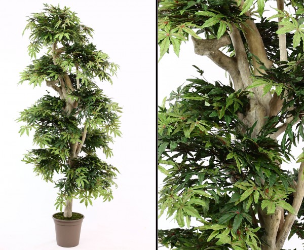 Künstlicher Ahorn Baum 185cm mit Naturstamm 1080 Blätter