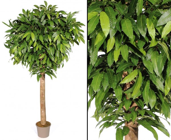 Kunstbaum Kastanie mit 280cm 1840 Blätter und dicken Echtstamm