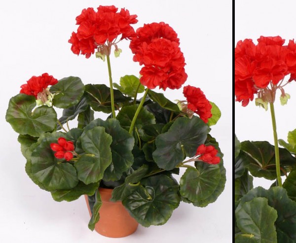 Geranien Kunstblumen rot mit Blätter, Höhe ca. 30cm, ohne Topf