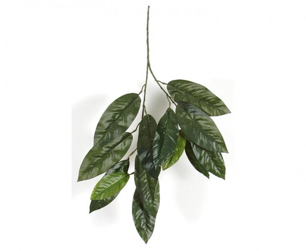 Künstliche Pflanze Magnolia Blattzweig, mit 2 Zweige und 14 Blätter, 65cm