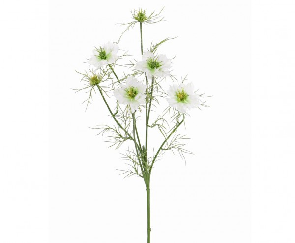 Blume Nigella Hahnenfuß weiss mit 4 Blüten, Länge ca. 65cm
