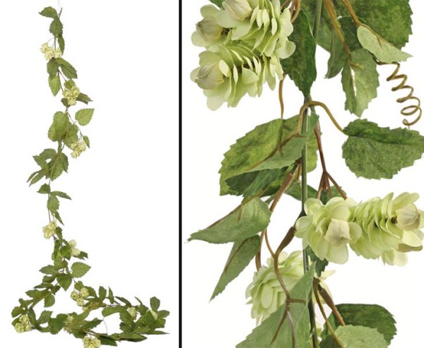 Hopfengirlande mit 36 Dolden Länge 190cm und 120 Blätter