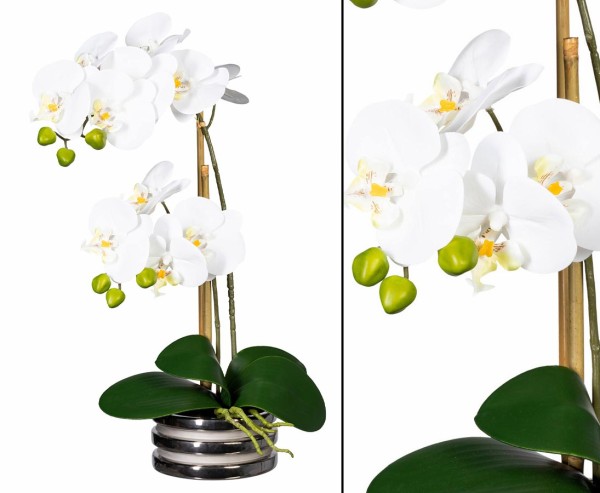 Orchideen Kunstblume mit 2 creme weiß farbigen Blüten 50cm im Silber farbigen Topf