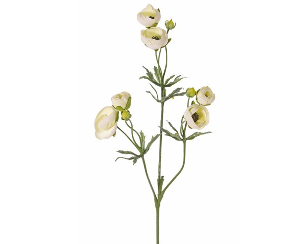 Ranunkel Kunstblume 65cm mit 6 Blüten creme farbig und 3 Knospen