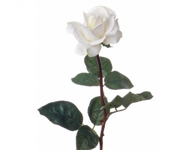 Rose Caroline Länge ca. 70cm in weiss, real touch