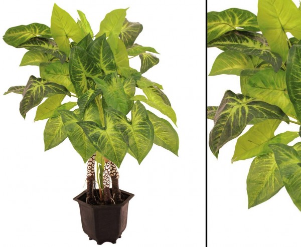 Kunstpflanze Caladium, mit 4 Stämmen und Luftwurzeln, 44 Blätter, Höhe ca. 92cm