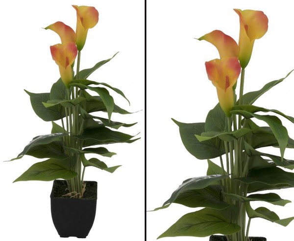 Kunstpflanzen Calla Busch mit gelb orangen Blüten im Topf 43cm