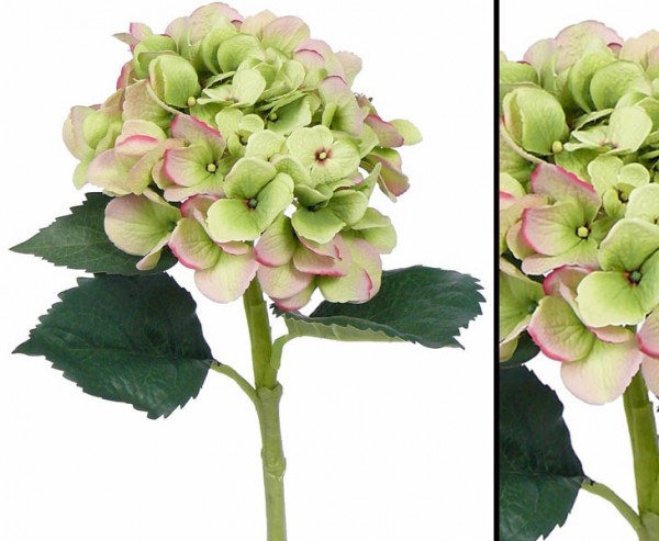 Künstliche Hortensie mit grünlich roter Blüte 15cm, 48cm
