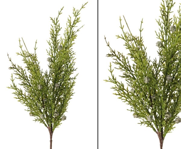 Wacholderzweig mit 16 Blattbüscheln und 16 Beeren Früchten 50cm