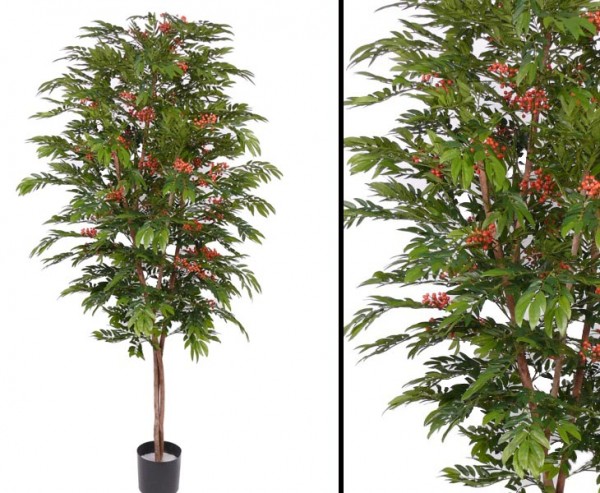 Eberesche bzw. Vogelbeerbaum mit Echtholz Stamm Höhe ca. 210cm