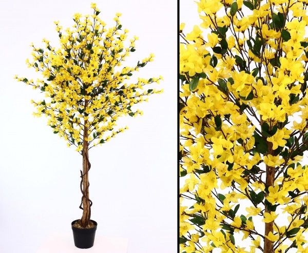 Forsythien Kunstbaum 150cm hoch mit gelben Blüten und Multi Echtholzstamm