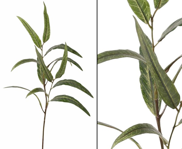 Künstlicher Eucalyptus Zweig 70cm mit 13 Blätter und 2 Verzweigungen