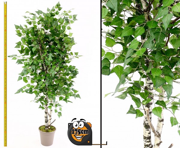 Künstlichen Birken Laubbaum 175cm mit Naturstämmen und 1344 Textilfaser Blätter