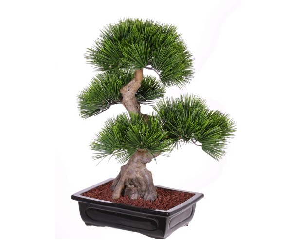 Künstlicher Bonsai Baum mit 96 Kiefer Nadel Bündel in schwarzer Schale Höhe ca. 70cm