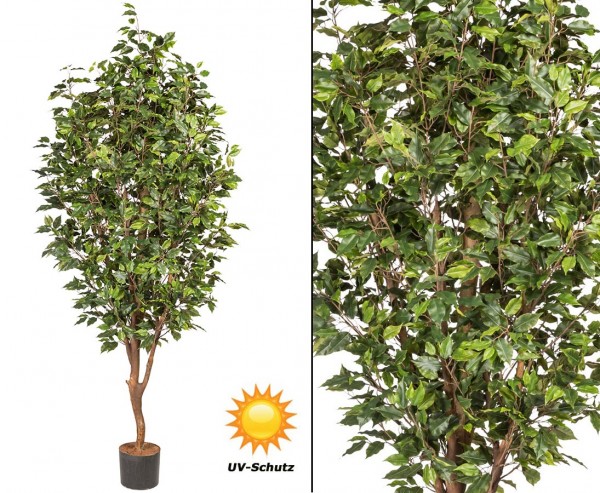 Kunstbaum Ficus 220cm mit 2064Blätter UV-beständig