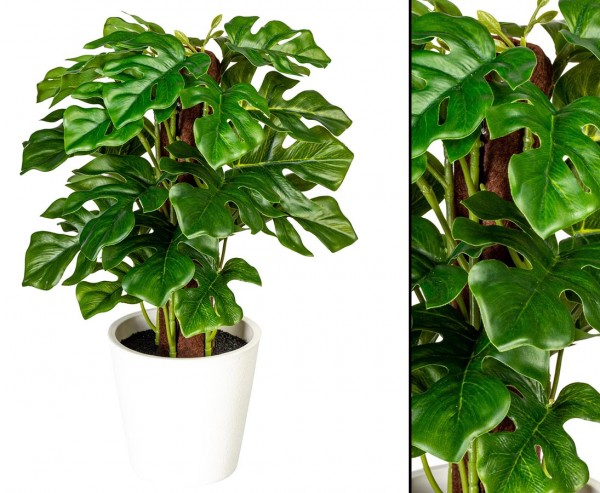 Split Philodendron Kunstpflanze im Topf 24cm mit 24Blätter "small green"