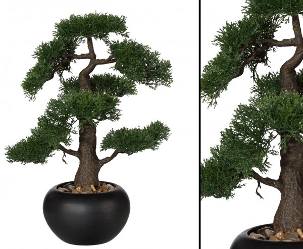 Künstlicher Bonsai Zeder mit 48cm im schwarzen Keramiktopf