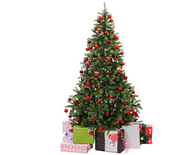 Weihnachtsbaum_1PhZokWlZPkkjHzOKYUl4z6R6DB