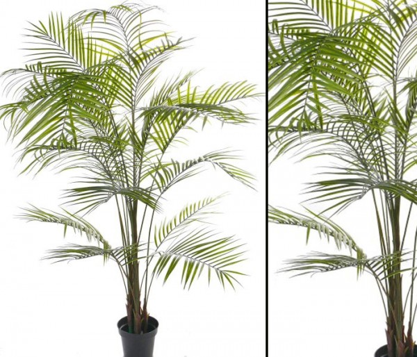 Künstliche Arekapalme 20 UV sichere Palmblätter Höhe ca. 225cm