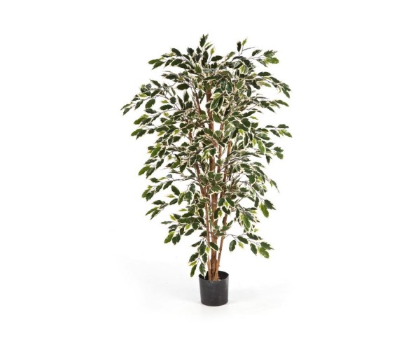 Kunstbaum Ficus grün-weiß mit 210cm und 1300 Blätter aus Textilfaser Material