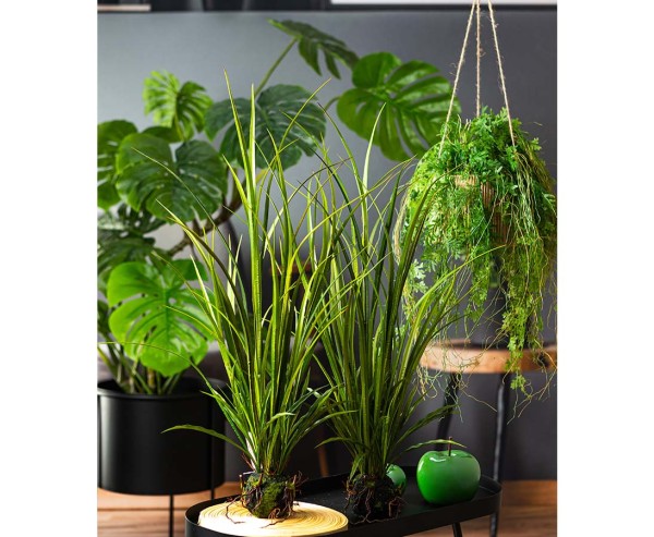 UrbanJungle3